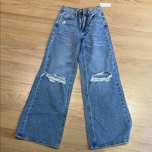 Pacsun High Rise Wide Leg Jean
